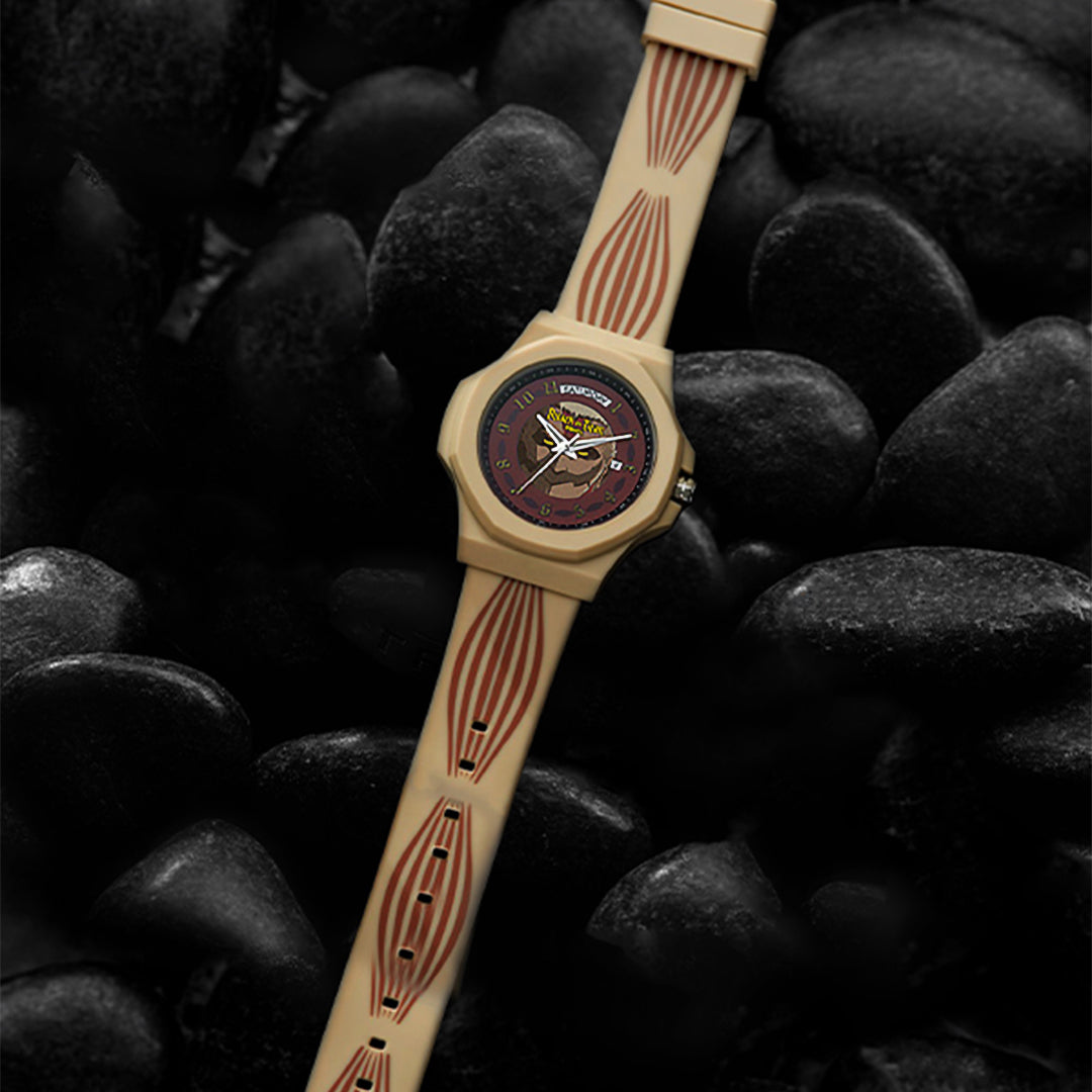 titan watch