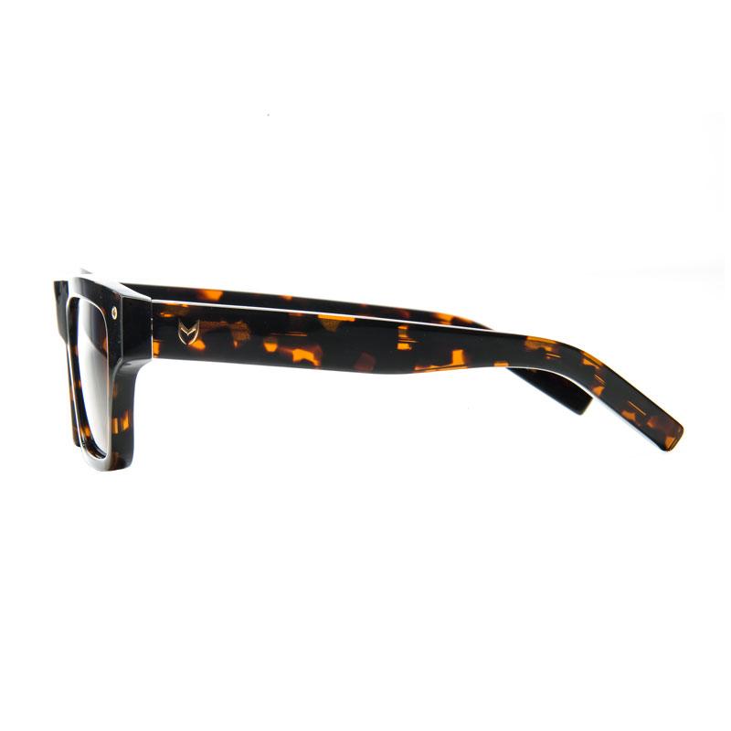 SG201TR - VS1 TORTOISE / BROWN POLARIZED LENS