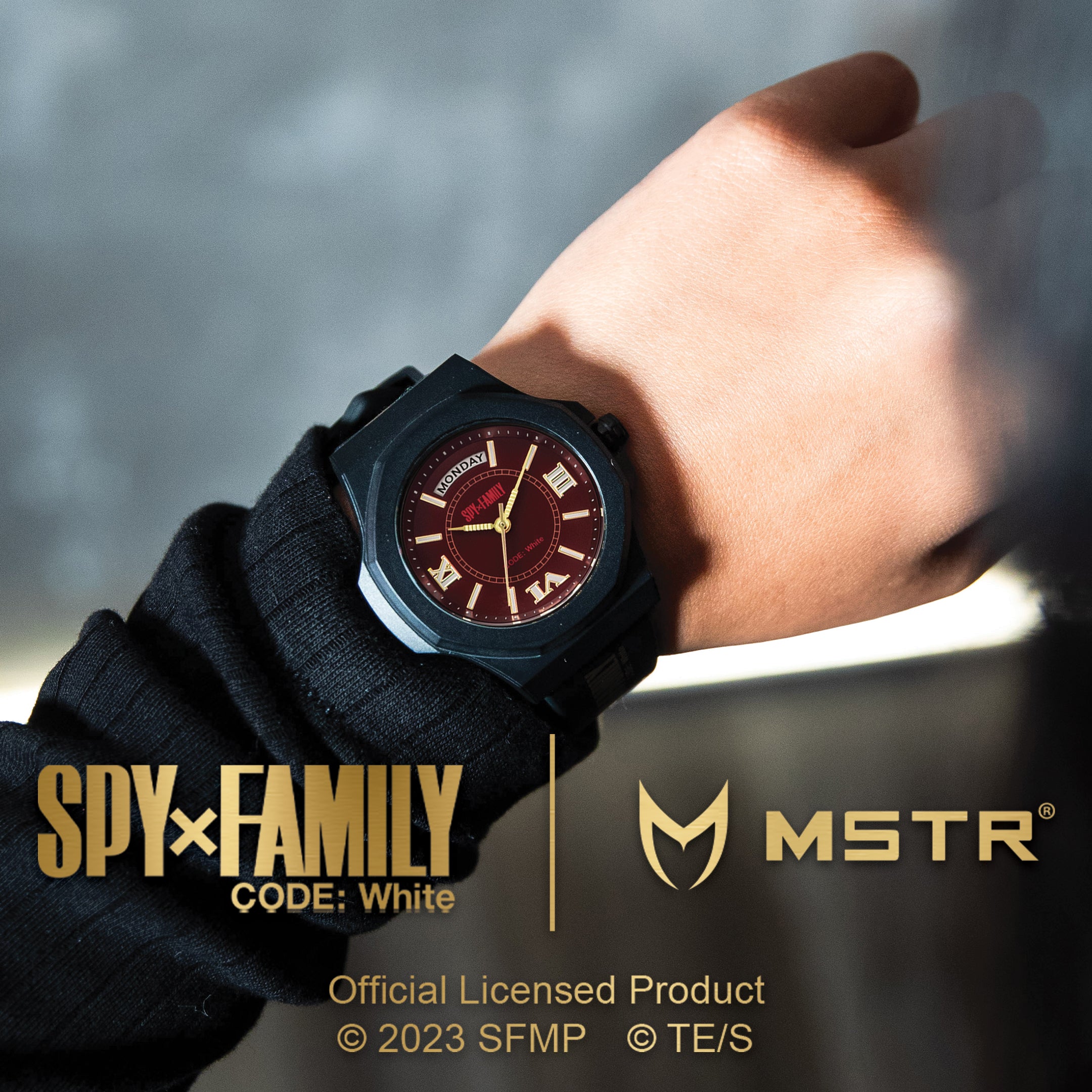 DT0116SF - SPY X FAMILY YOR WATCH