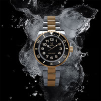 Thumbnail for VO133SS - VOYAGER SILVER / GOLD SUB